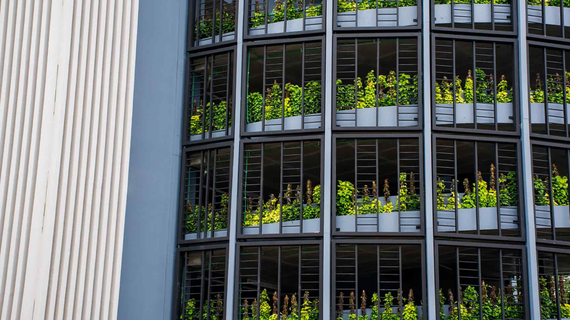 Vertical Gardens for Sustainable High-Rise Buildings in Hyderabad